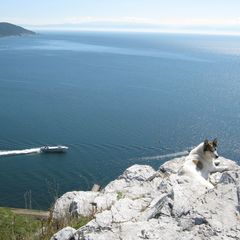 База отдыха Кругобайкальская, Слюдянский район, Иркутская область