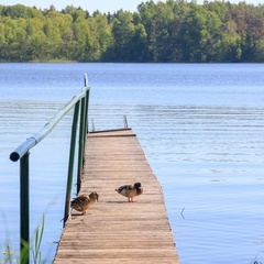 Парк-отель Дербовеж, Тверская область