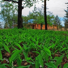 Туристическая деревня Дубки, Красный Бакен, Нижегородская область