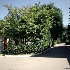 База отдыха Спутник, Москва, Московская область