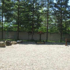 База отдыха Уют, Майкопский район, Республика Адыгея