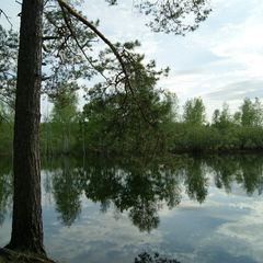База отдыха Верхом по Мещёре, Спасский район, Рязанская область