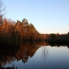 База отдыха Верхом по Мещёре, Спасский район, Рязанская область