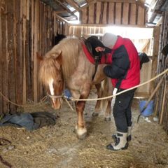 Агротуристический комплекс В избушке, Оленинский район, Тверская область