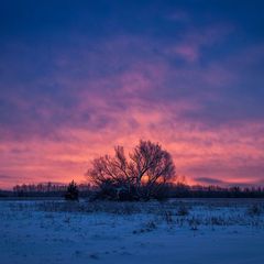 База отдыха Верхом по Мещёре, Спасский район, Рязанская область