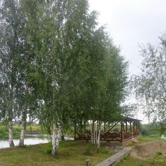 База отдыха Белогостицы, Ростовский район, Ярославская область