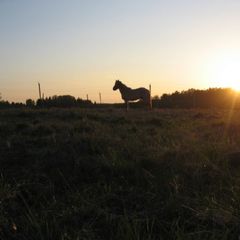 Агротуристический комплекс В избушке, Оленинский район, Тверская область