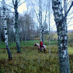 Агротуристический комплекс В избушке, Оленинский район, Тверская область