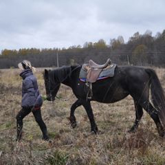 Агротуристический комплекс В избушке, Оленинский район, Тверская область