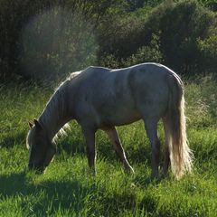 Агротуристический комплекс В избушке, Оленинский район, Тверская область