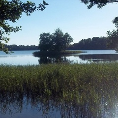 Турбаза Спастер, Новосокольнический район, Псковская область