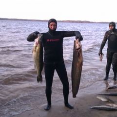 База отдыха Демидовка, Юрьевецкий район, Ивановская область