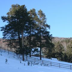 База отдыха Шушпа, Белорецкий район, Республика Башкортостан