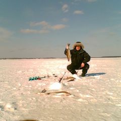База отдыха Демидовка, Юрьевецкий район, Ивановская область