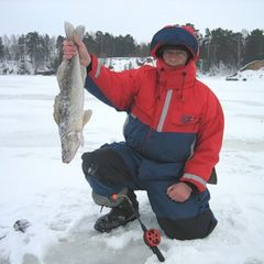 База отдыха Демидовка, Юрьевецкий район, Ивановская область