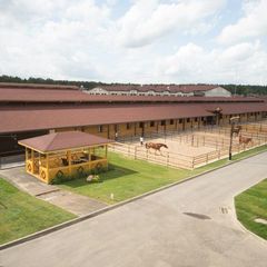 База отдыха Покровское-Дивное, Истринский район, Московская область