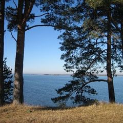 База отдыха Демидовка, Юрьевецкий район, Ивановская область