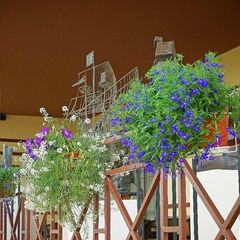 База отдыха Покровское-Дивное, Истринский район, Московская область