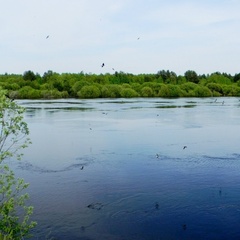 Загородная база отдыха Река Чаек, Краснобаковский район, Нижегородская область