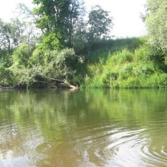 База отдыха Галактика, Жуковский район, Калужская область