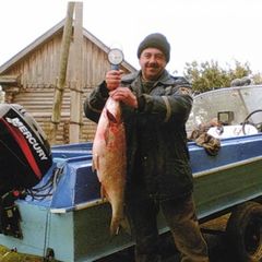 База отдыха Демидовка, Юрьевецкий район, Ивановская область