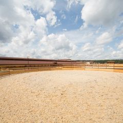 База отдыха Покровское-Дивное, Истринский район, Московская область