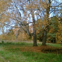 База отдыха Демидовка, Юрьевецкий район, Ивановская область