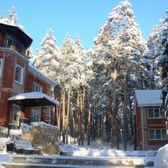 Парк-отель Юность, Чебаркуль, Челябинская область