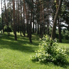 Дом отдыха Отрада, Старошайговский район, Республика Мордовия