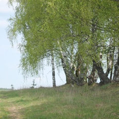 Парк-отель Деревня Лобаново, Юхновский район, Калужская область