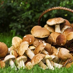 Парк-отель Деревня Лобаново, Юхновский район, Калужская область