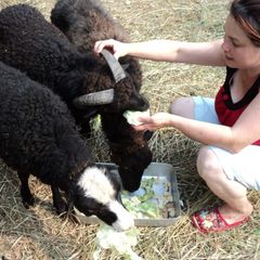 Дом отдыха Васильсурский, Воротынский район, Нижегородская область