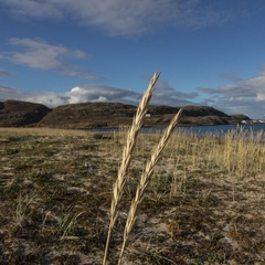 Туристическая база Териберский берег, Кольский район, Мурманская область