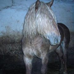 Дом отдыха Васильсурский, Воротынский район, Нижегородская область