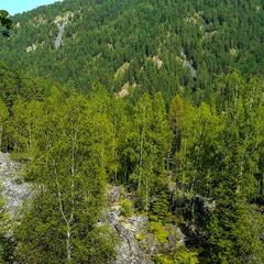 Загородный отель Алсей, Дивногорск, Красноярский край