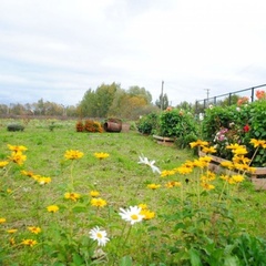 База отдыха Ильмень, Новгородский район, Новгородская область