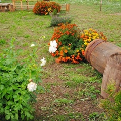 База отдыха Ильмень, Новгородский район, Новгородская область