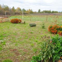 База отдыха Ильмень, Новгородский район, Новгородская область