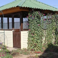 Рыболовно-охотничья база Тихий причал, Енотаевский район, Астраханская область