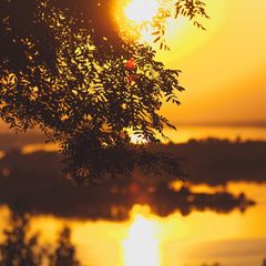 Дом отдыха Васильсурский, Воротынский район, Нижегородская область