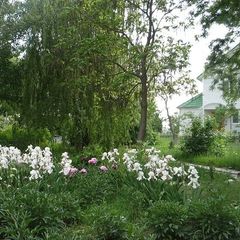 База отдыха Парус, Камызякский район, Астраханская область