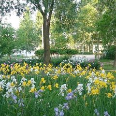 База отдыха Парус, Камызякский район, Астраханская область