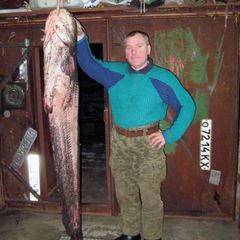 Рыболовная база Плавучая деревня, Астраханская область