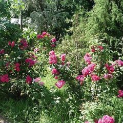 База отдыха Парус, Камызякский район, Астраханская область