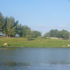 База отдыха Путина, Харабалинский район, Астраханская область