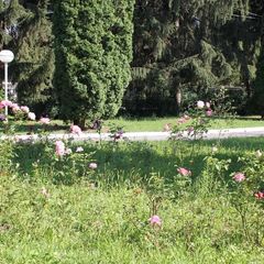 Гостиница Уют, Нальчик, Республика Кабардино-Балкария