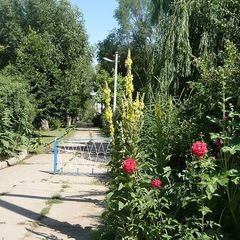 База отдыха Парус, Камызякский район, Астраханская область