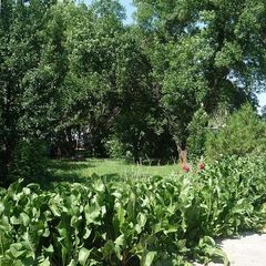 База отдыха Парус, Камызякский район, Астраханская область