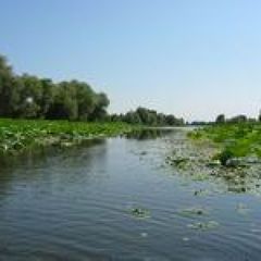 Рыболовная база Плавучая деревня, Астраханская область