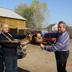 Рыболовная база Место встречи, Харабалинский район, Астраханская область